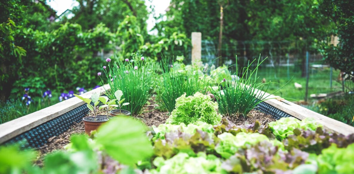 Tips voor het inrichten van een kleine tuin mamazetkoers