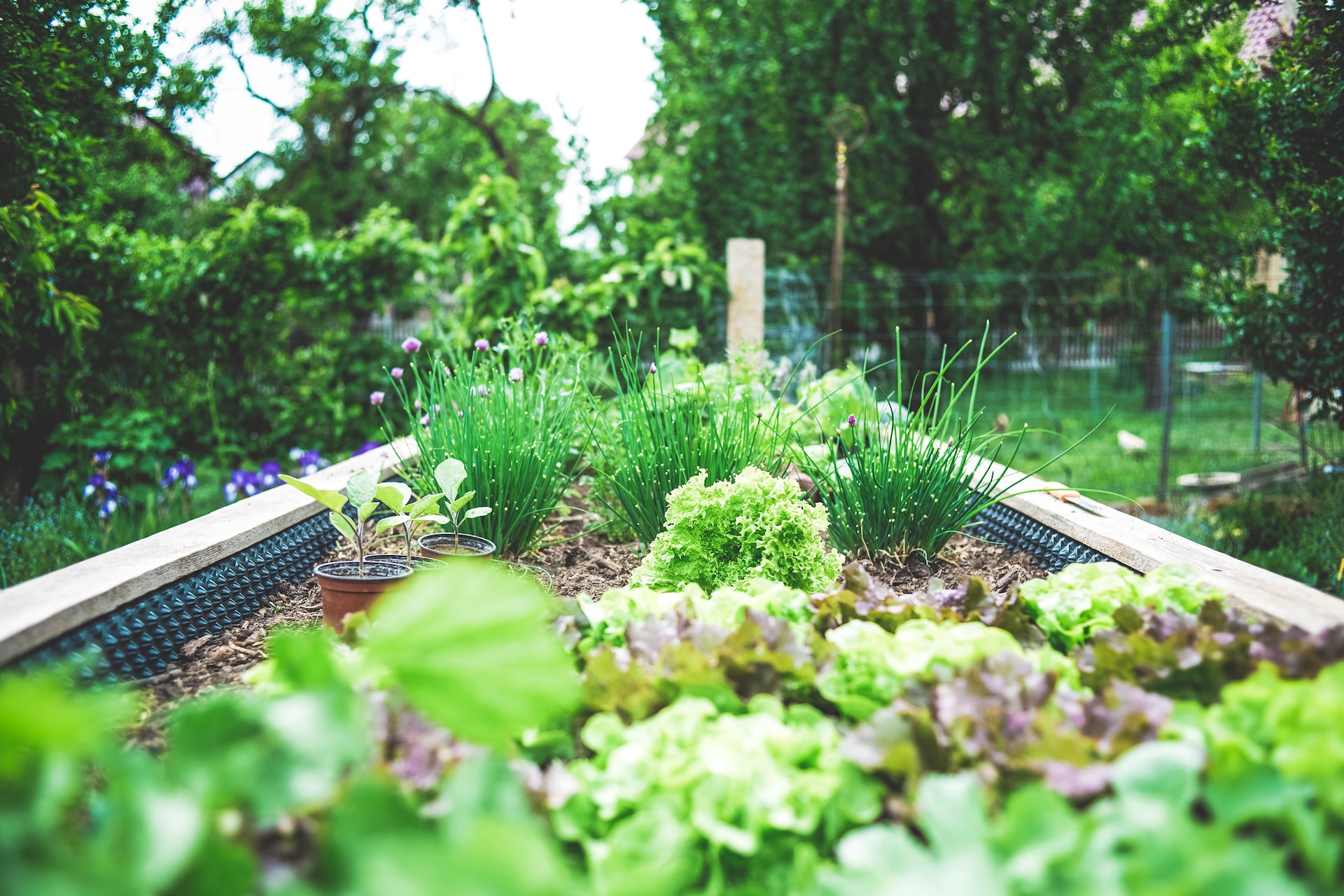 Tips voor het inrichten van een kleine tuin mamazetkoers