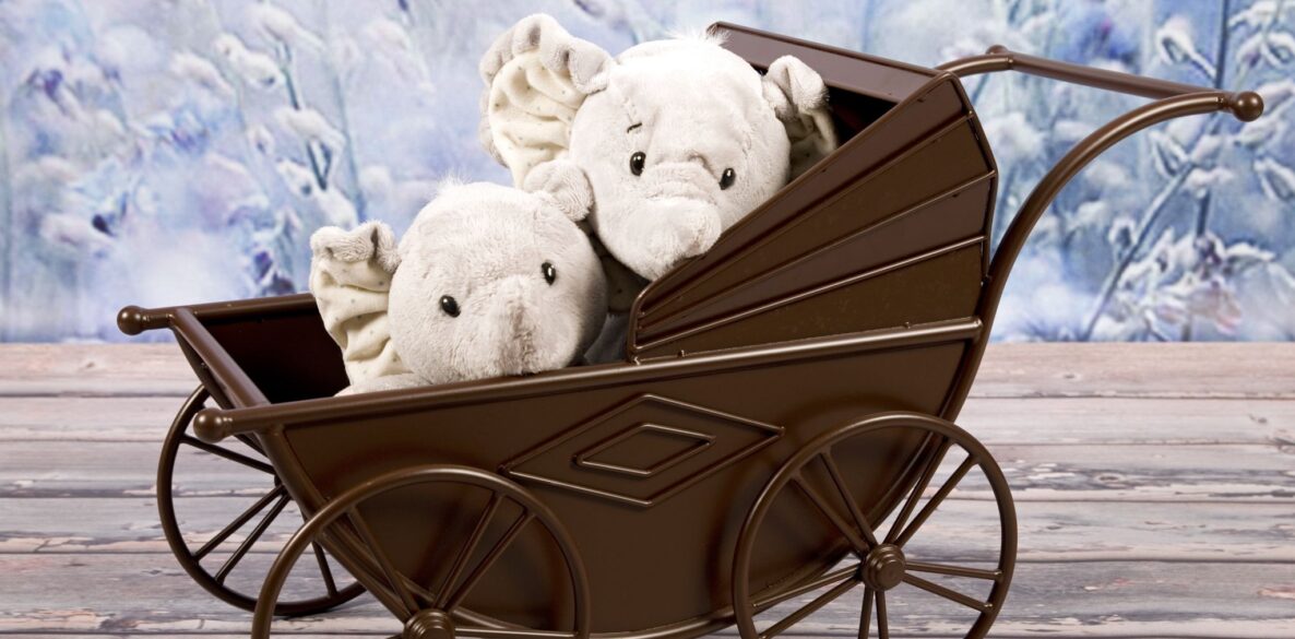 Van één naar twee kinderen de juiste kinderwagen kiezen mamazetkoers